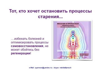 Nat präsentation russisch