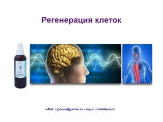 Nat präsentation russisch