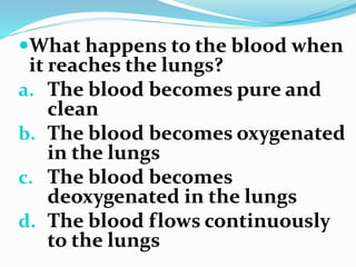 What happens to the blood when
it reaches the lungs?
a. The blood becomes pure and
clean
b. The blood becomes oxygenated
in the lungs
c. The blood becomes
deoxygenated in the lungs
d. The blood flows continuously
to the lungs
 