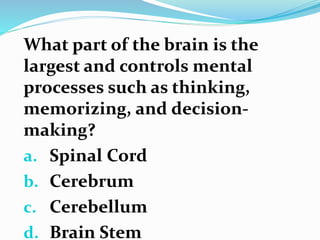 What part of the brain is the
largest and controls mental
processes such as thinking,
memorizing, and decision-
making?
a. Spinal Cord
b. Cerebrum
c. Cerebellum
d. Brain Stem
 