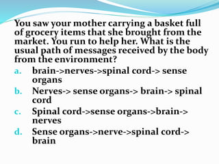 You saw your mother carrying a basket full
of grocery items that she brought from the
market. You run to help her. What is the
usual path of messages received by the body
from the environment?
a. brain->nerves->spinal cord-> sense
organs
b. Nerves-> sense organs-> brain-> spinal
cord
c. Spinal cord->sense organs->brain->
nerves
d. Sense organs->nerve->spinal cord->
brain
 
