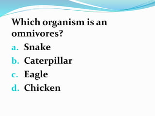 Which organism is an
omnivores?
a. Snake
b. Caterpillar
c. Eagle
d. Chicken
 