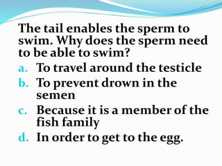 The tail enables the sperm to
swim. Why does the sperm need
to be able to swim?
a. To travel around the testicle
b. To prevent drown in the
semen
c. Because it is a member of the
fish family
d. In order to get to the egg.
 