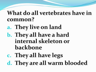 What do all vertebrates have in
common?
a. They live on land
b. They all have a hard
internal skeleton or
backbone
c. They all have legs
d. They are all warm blooded
 
