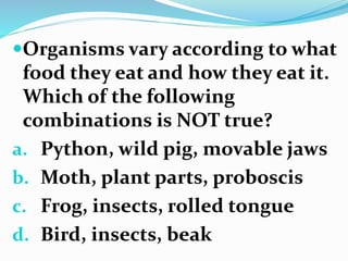 Organisms vary according to what
food they eat and how they eat it.
Which of the following
combinations is NOT true?
a. Python, wild pig, movable jaws
b. Moth, plant parts, proboscis
c. Frog, insects, rolled tongue
d. Bird, insects, beak
 