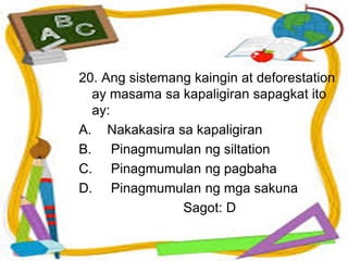 20. Ang sistemang kaingin at deforestation
ay masama sa kapaligiran sapagkat ito
ay:
A. Nakakasira sa kapaligiran
B. Pinagmumulan ng siltation
C. Pinagmumulan ng pagbaha
D. Pinagmumulan ng mga sakuna
Sagot: D
 