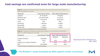 High Productivity Membrane Chromatography: Enabling the Next Generation ...