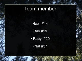 Team member Ice  #14 Bay #19  Ruby  #20 Nat #37 