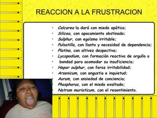 REACCION A LA FRUSTRACION
• Calcarea la dará con miedo apático;
• Silicea, con apocamiento obstinado;
• Sulphur, con egoísmo irritable;
• Pulsatilla, con llanto y necesidad de dependencia;
• Platina, con altivez despectiva;
• Lycopodium, con formación reactiva de orgullo o
• bondad para acomodar su insuficiencia;
• Hepar sulphur, con feroz irritabilidad;
• Arsenicum, con angustia e inquietud;
• Aurum, con ansiedad de conciencia;
• Phosphorus, con el miedo exaltado;
• Natrum muriaticum, con el resentimiento.
 