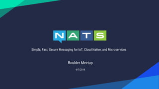 Simple, Fast, Secure Messaging for IoT, Cloud Native, and Microservices
Boulder Meetup
6/7/2016
 