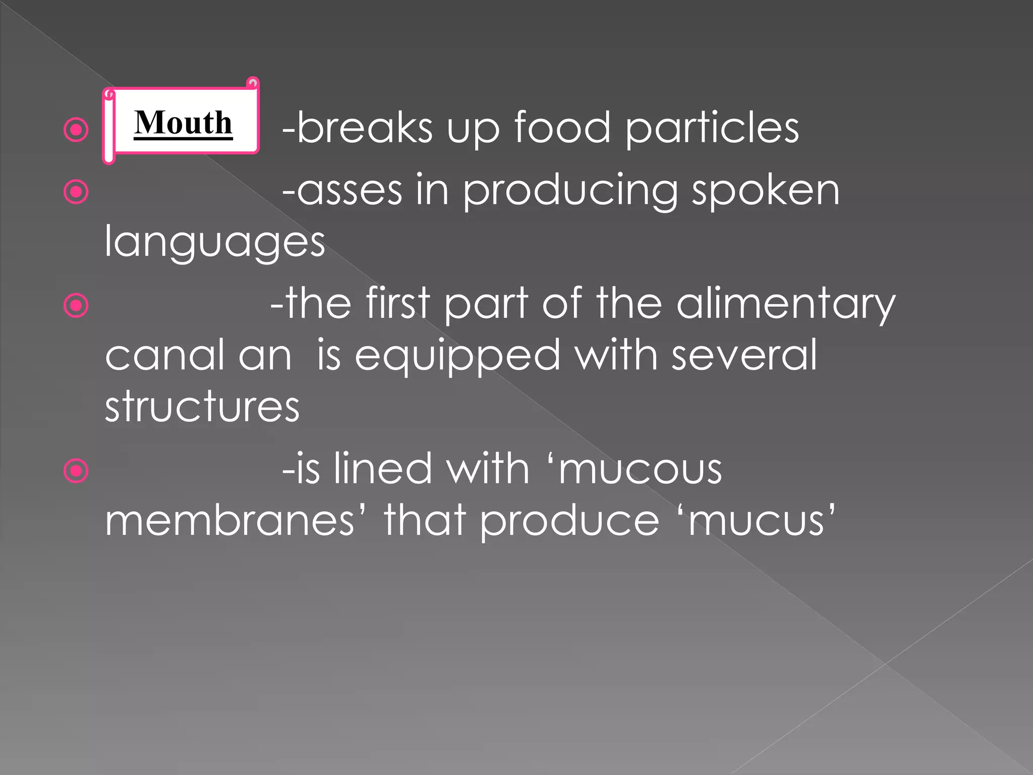  -breaks up food particles
-asses in producing spoken
languages
-the first part of the alimentary
canal an is equipped with several
structures
-is lined with ‘mucous
membranes’ that produce ‘mucus’
Mouth