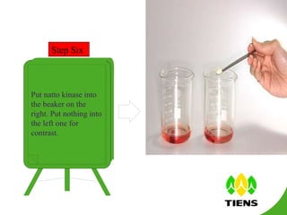 Step  Six Put natto kinase into the beaker on the right. Put nothing into the left one for contrast. 