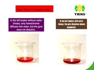 Step   Nine (3 minutes later) In the left beaker without natto- kinase, only  hemachrome  diffuses into water, but the gore does not dissolve.  In the left beaker with natto -kinase, the gore dissolves almost completely. 