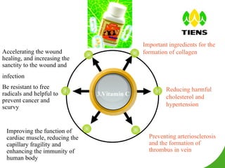 3.Vitamin C Important ingredients for the formation of collagen Accelerating the wound healing, and increasing the sanctity to the wound and infection   Reducing harmful cholesterol and hypertension Preventing arteriosclerosis and the formation of thrombus in vein Be resistant to free radicals and helpful to prevent cancer and  scurvy Improving the function of cardiac muscle, reducing the  capillary fragility and enhancing the immunity of human body 
