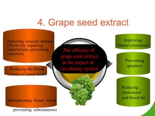 The efficacy of  grape seed extract in the aspect of  circulatory system Relieving vascular disease effectively, repairing endarterium, preventing varicosity Reducing the blood volume of lower limbs Improving  blood circulation Preventing apoplexy Reducing cholesterol and blood-fat Strengthening   blood   vessel, preventing   subcutaneous   hemorrhage   4. Grape seed extract 