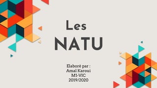 Les
NATU
Elaboré par :
Amal Karoui
M1-VIC
2019/2020
 