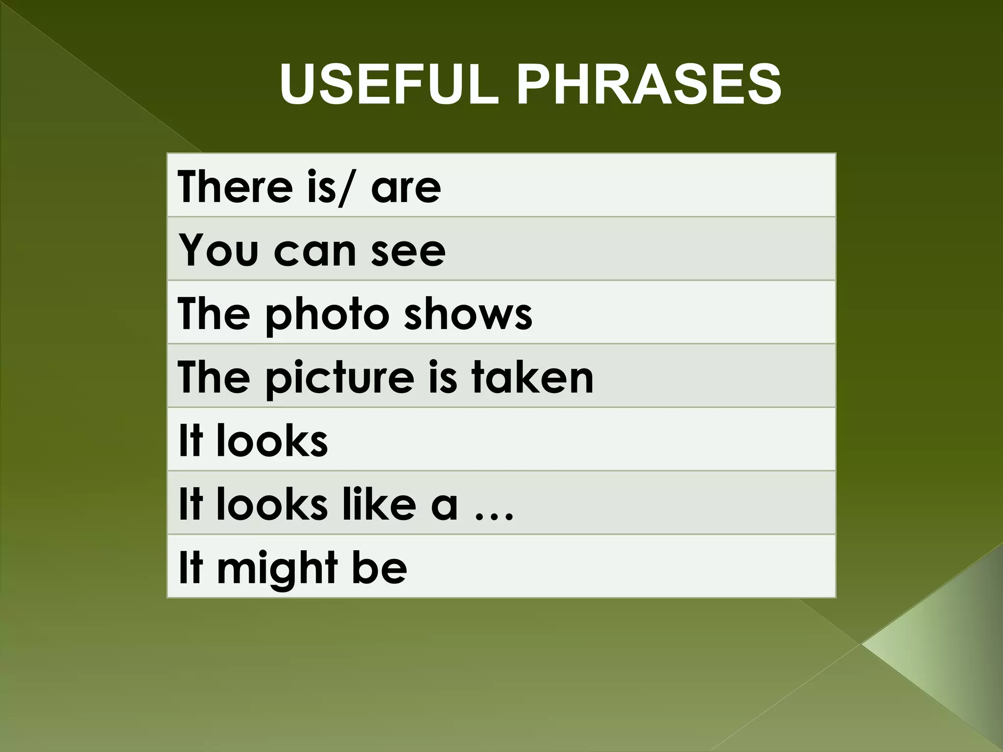USEFUL PHRASES
There is/ are
You can see
The photo shows
The picture is taken
It looks
It looks like a …
It might be