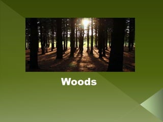 Woods
 