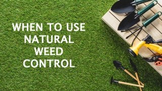 WHEN TO USE
NATURAL
WEED
CONTROL
 