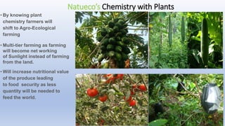 Natueco’s Chemistry with Plants
• By knowing plant
chemistry farmers will
shift to Agro-Ecological
farming
• Multi-tier farming as farming
will become net working
of Sunlight instead of farming
from the land.
• Will increase nutritional value
of the produce leading
to food security as less
quantity will be needed to
feed the world.
 