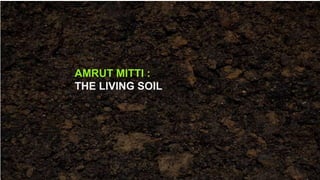 AMRUT MITTI :
THE LIVING SOIL
 