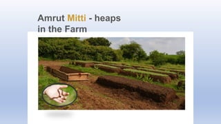 Amrut Mitti - heaps
in the Farm
 