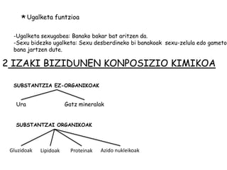 * Ugalketa funtzioa
  -Ugalketa sexugabea: Banako bakar bat aritzen da.
  -Sexu bidezko ugalketa: Sexu desberdineko bi banakoak sexu-zelula edo gameto
  bana jartzen dute.

2 IZAKI BIZIDUNEN KONPOSIZIO KIMIKOA

  SUBSTANTZIA EZ-ORGANIKOAK


   Ura                  Gatz mineralak


   SUBSTANTZAI ORGANIKOAK




 Gluzidoak   Lipidoak     Proteinak   Azido nukleikoak
 