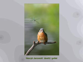 Henryk Janowski dawid i goliatHenryk Janowski dawid i goliat
 