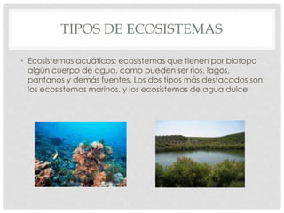 TIPOS DE ECOSISTEMAS
• Ecosistemas acuáticos: ecosistemas que tienen por biotopo
algún cuerpo de agua, como pueden ser ríos, lagos,
pantanos y demás fuentes. Los dos tipos más destacados son:
los ecosistemas marinos, y los ecosistemas de agua dulce
 