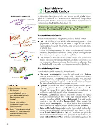 832926 _ 0006-0025.qxd         19/4/08   12:39    Página 10




                                                                       Izaki bizidunen
                                                                2      konposizio kimikoa
                 Biomolekula organikoak                       Bizi-funtzio berberak egiteaz gain, izaki bizidun guztiok zelulaz osatuta
                                          Polisakaridoa       gaude, eta den-denok mota bereko substantzia kimikoak ditugu osagai:
                                                              biomolekulak. Direlako biomolekula horiek zenbait elementu kimikoz
                                                              osatuta daude: bioelementuz, hain zuzen ere.
                                            Monosakaridoa

                                                               Bioelementu ugarienak hauek dira: karbonoa (C), hidrogenoa (H),
                                                               oxigenoa (O), nitrogenoa (N), fosforoa (P) eta sufrea (S).

               Koipea
                                                              Biomolekula ez-organikoak
                                                              Materia bizidunean nahiz bizigabean daudelako deritze horrela.
                                                    Gantz-
                                                    azidoa    • Ura. Izaki bizidun guztien baitako substantziarik ugariena da. Gure
                                                                gorputzaren % 65 inguru ura da, baina ez dago berdin banatuta
                   Glizerola
                                                                organo guztietan: odolak eta garunak, esate baterako, hezurrek baino
                                                                ur gehiago dute.
                                                                Zelulen osagai nagusia ura da, eta barne-likidoena ere bai: adibidez,
                                                 Proteina       odolarena. Organismoko erreakzio kimiko guztiak uretan gertatzen
                                                                dira, eta substantzien garraiorako bidea ere bada.
                                                              • Gatz mineralak. Hainbat funtzio betetzen dituzte izaki bizidunetan.
                        Aminoazidoa                             Batetik, egiturak sortzen dituzte: krustazeoen eta moluskuen oskolak,
                                                                eta ornodunen eskeletoa, adibidez. Eta bestetik, parte hartzen dute
                                                                nerbio-bulkadak helarazteko funtzioan nahiz muskulu-uzkurduran.

                                                              Biomolekula organikoak
                                            Azido nukleikoa
                                                              Izaki bizidunek soilik dituztelako deritze horrela.
                                                              • Gluzidoak. Monosakaridoz osatutako molekulak dira; glukosa,
                                                                adibidez, monosakaridoa da, eta energia-iturri. Zenbait monosakarido
                  Nukleotidoa
                                                                elkartzen direnean, polisakaridoak eratzen dira: hala nola, landareen
                                                                almidoia eta zelulosa; almidoiak energia-gordekin izateko funtzioa
                                                                du, eta zelulosak landare-zelulen pareta eratzen du.
             ARIKETAK                                         • Lipidoak. Era askotakoak daude, eta hainbat funtzio dituzte. Bi dira
             3. Zer funtzio du urak izaki                       azpimarragarrienak: koipeak eta fosfolipidoak edo kolesterola.
                bizidunetan?                                    Koipeek energia-gordekin izateko funtzioa dute animalietan, eta
                                                                fosfolipidoek edo kolesterolak zelula-mintza eratzen dute.
             4. Animalia-zelula ororen
                mintzean kolesterola dago.                    • Proteinak. Aminoazido izeneko molekula askoren bat-egiteaz
                Zer funtzio du lipido                           osatutako makromolekulak dira. Funtzio ugari betetzen dituzte. Alde
                horrek?                                         batetik, egiturazkoa: adibidez, azaleko kolagenoak. Beste alde batetik,
                                                                garraiokoa: esaterako, odoleko hemoglobinak. Babesekoa ere bai:
             5. Zenbat azido nukleiko
                mota daude zelula orotan?
                                                                besteak beste, antigorputzek. Eta azken funtzio bat aipatzearren,
                Zer funtzio dute?                               erreakzio kimikoen erregulatzaile ere badira: adibidez, entzimak.
                                                              • Azido nukleikoak. Nukleotido izeneko biomolekula txikien bat-
             6. Bilatu Funtsezko kontzeptuak
                                                                egiteaz eratutako biomolekula handi-handiak dira. Bi mota daude:
                atalean hitz hauen esanahia:
                makromolekula, polimero
                                                                azido desoxirribonukleikoak (ADN) izaki bizidunen garapenerako
                eta monomero.                                   eta funtzionamendurako informazioa gordetzen eta helarazten du, eta
                                                                azido erribonukleikoak (ARN) proteinak sintetizatzen laguntzen du.


        10
 