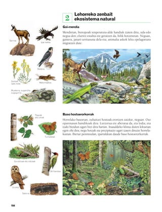 832926 _ 0100-0123.qxd         21/2/08     13:24       Página 104




                                                                           Lehorreko zenbait
                                                                    2      ekosistema natural
                                                                  Goi-mendia
                                                                  Mendietan, biotopoak tenperatura-alde handiak izaten ditu, uda edo
                                                                  negua den; elurrez estalita ere geratzen da, hilik hotzenetan. Neguan,
       Sarrioa                                                    gainera, janari-urritasuna dela-eta, animalia askok leku epelagoetara
                                          Ipar-belea              migratzen dute.




                                     Belatza




        Zenbait
                                         Matxinsaltoa
        isats mota


        Muskerra, sugandila,
        sugegorria…




                                  Pagoak                          Baso hostoerorkorrak
                                  eta urkiak
                                                                  Horrelako basoetan, zuhaitzei hostoak erortzen zaizkie, neguan. Oso
                                                                  oparotasun handikoak dira. Lurzorua ere aberatsa da, eta lodia; eta
                                                                  izaki bizidun ugari bizi dira hartan. Itsasaldeko klima duten lekuetan
                                                                  egon ohi dira; negu hotzak eta prezipitazio ugari izaten dituzte horrela-
                                                                  koetan. Iberiar penintsulan, iparraldean daude baso hostoerorkorrak.
                                               Tximeletak




           Goroldioak eta iratzeak



                                                    Okil berdea




         Urubia

                     Satorra




        104
 
