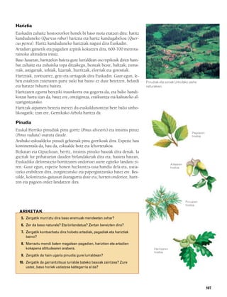 832926 _ 0100-0123.qxd   19/4/08   11:44   Página 107




        Hariztia
        Euskadin zuhaitz hostoerorkor honek bi baso mota eratzen ditu: haritz
        kanduduneko (Quercus robur) hariztia eta haritz kandugabekoa (Quer-
        cus petrea). Haritz kanduduneko hariztiak nagusi dira Euskadin.
        Artadien gainetik eta pagadien azpitik kokatzen dira, 600-700 metrota-
        rainoko altitudera iritsiz.
        Baso hauetan, haritzekin batera gure lurraldean oso tipikoak diren hain-
        bat zuhaitz eta zuhaixka topa ditzakegu, besteak beste, haltzak, zuma-
        rrak, astigarrak, urkiak, lizarrak, hurritzak, elorriak eta gorostiak.
        Hariztiak, zoritxarrez, gero eta urriagoak dira Euskadin. Gaur egun, le-
        hen estaltzen zutenaren parte txiki bat baino ez dute betetzen, belardi       Pinudiak eta soroak Urkiolako parke
        eta baratze bihurtu baitira.                                                  naturalean.
        Haritzaren egurra bereziki iraunkorra eta gogorra da, eta balio handi-
        kotzat hartu izan da, batez ere, ontzigintza, eraikuntza eta kalitateko al-
        tzarigintzarako.
        Haritzak aipamen berezia merezi du euskaldunontzat bere balio sinbo-
        likoagatik; izan ere, Gernikako Arbola haritza da.

        Pinudia
        Euskal Herriko pinudiak pinu gorriz (Pinus silvestris) eta intsinis pinuz
                                                                                                                       Pagoaren
        (Pinus radiata) osatuta daude.                                                                                 hostoa
        Arabako eskualdeko pinudi gehienak pinu gorrikoak dira. Espezie hau
        kontinentala da, hau da, eskualde hotz eta lehorretakoa.
        Bizkaian eta Gipuzkoan, berriz, intsinis pinuko basoak dira denak. Ia
        guztiak lur pribatuetan dauden birlandaketak dira eta, hasiera batean,
        Euskadiko deforestazio bortitzaren ondorioei aurre egiteko landatu zi-                          Artearen
        ren. Gaur egun, espezie honen hazkuntza-tasa handia dela eta, ustia-                            hostoa
        tzeko erabiltzen dira, zurgintzarako eta papergintzarako batez ere. Bes-
        talde, kolonizazio-gaitasun ikaragarria dute eta, horren ondorioz, harit-
        zen eta pagoen ordez landatzen dira.



                                                                                                                   Pinuaren
                                                                                                                   hostoa

          ARIKETAK
           5. Zergatik murriztu dira baso eremuak mendeetan zehar?
           6. Zer da baso naturala? Eta birlandatua? Zertan bereizten dira?
           7. Zergatik kontserbatu dira hobeto artadiak, pagadiak eta hariztiak
              baino?
           8. Marraztu mendi baten magalean pagadien, hariztien eta artadien
              kokapena altitudearen arabera.                                               Haritzaren
                                                                                           hostoa
           9. Zergatik da hain ugaria pinudia gure lurraldean?
          10. Zergatik da garrantzitsua lurralde bateko basoak zaintzea? Zure
              ustez, baso horiek ustiatzea kaltegarria al da?




                                                                                                                                  107
 