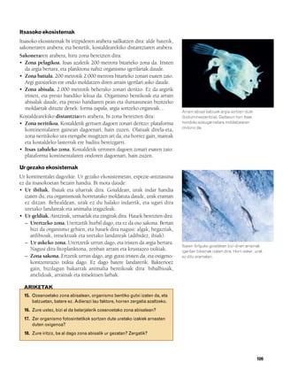 832926 _ 0100-0123.qxd   21/2/08   13:24   Página 109




        Itsasoko ekosistemak
        Itsasoko ekosistemak bi irizpideren arabera sailkatzen dira: alde batetik,
        sakoneraren arabera, eta bestetik, kostaldearekiko distantziaren arabera.
        Sakoneraren arabera, hiru zona bereizten dira:
        • Zona pelagikoa. Itsas azaletik 200 metrora bitarteko zona da. Iristen
           da argia bertara, eta planktona nahiz organismo igerilariak daude.
        • Zona batiala. 200 metrotik 2.000 metrora bitarteko zonari esaten zaio.
           Argi gutxirekin ere ondo moldatzen diren arrain igerilari asko daude.
        • Zona abisala. 2.000 metrotik beherako zonari deritzo. Ez da argirik
           iristen, eta presio handiko lekua da. Organismo bentikoak eta arrain
           abisalak daude, eta presio handiaren pean eta iluntasunean bizitzeko
           moldaerak dituzte denek: forma zapala, argia sortzeko organoak…
                                                                                       Arrain abisal batzuek argia sortzen dute
        Kostaldearekiko distantziaren arabera, bi zona bereizten dira:                 (biolumineszentzia). Gaitasun hori itsas
        • Zona neritikoa. Kostaldetik gertuen dagoen zonari deritzo: plataforma        hondoko ezaugarrietara moldatzearen
                                                                                       ondorio da.
           kontinentalaren gainean dagoenari, hain zuzen. Olatuak direla-eta,
           zona neritikoko ura etengabe mugitzen ari da; eta horrez gain, mareak
           eta kostaldeko lasterrak ere baditu bereizgarri.
        • Itsas zabaleko zona. Kostaldetik urrunen dagoen zonari esaten zaio:
           plataforma kontinentalaren ondoren dagoenari, hain zuzen.

        Ur gezako ekosistemak
        Ur kontinentalei dagozkie. Ur gezako ekosistemetan, espezie-aniztasuna
        ez da itsasokoetan bezain handia. Bi mota daude:
        • Ur ibiliak. Ibaiak eta uharrak dira. Goialdean, urak indar handia
           izaten du, eta organismoak horretarako moldatuta daude, urak eraman
           ez ditzan. Behealdean, urak ez du halako indarrik, eta ugari dira
           uretako landareak eta animalia iragazleak.
        • Ur geldiak. Aintzirak, urmaelak eta zingirak dira. Hauek bereizten dira:
        • – Urertzeko zona. Urertzetik hurbil dago, eta ez da oso sakona. Bertan
              bizi da organismo gehien, eta hauek dira nagusi: algak, hegaztiak,
              anfibioak, intsektuak eta uretako landareak (adibidez, ihiak).
        • – Ur askeko zona. Urertzetik urrun dago, eta iristen da argia bertara.
                                                                                       Ibaien ibilguko goialdean bizi diren arrainak
              Nagusi dira fitoplanktona, zenbait arrain eta krustazeo txikiak.         igerilari bikainak izaten dira. Horri esker, urak
        • – Zona sakona. Ertzetik urrun dago, argi gutxi iristen da, eta oxigeno-      ez ditu eramaten.
              kontzentrazio txikia dago. Ez dago batere landarerik. Bakterioez
              gain, bizilagun bakarrak animalia bentikoak dira: bibalbioak,
              anelidoak, arrainak eta intsektuen larbak.

          ARIKETAK
          15. Ozeanoetako zona abisalean, organismo bentiko gutxi izaten da, eta
              batzuetan, batere ez. Adierazi lau faktore, horren zergatia azaltzeko.
          16. Zure ustez, bizi al da belarjalerik ozeanoetako zona abisalean?
          17. Zer organismo fotosintetikok sortzen dute uretako izakiek arnasten
              duten oxigenoa?
          18. Zure iritziz, ba al dago zona abisalik ur gezatan? Zergatik?




                                                                                                                                    109
 