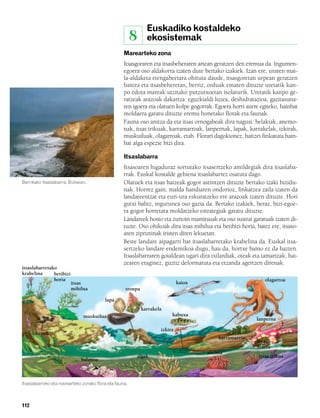 832926 _ 0100-0123.qxd     19/4/08     11:44    Página 112




                                                                        Euskadiko kostaldeko
                                                                8       ekosistemak
                                                           Marearteko zona
                                                           Itsasgoraren eta itsasbeheraren artean geratzen den eremua da. Ingumen-
                                                           egoera oso aldakorra izaten dute bertako izakiek. Izan ere, uraren mai-
                                                           la-aldaketa etengabeetara ohituta daude, itsasgoretan urpean geratzen
                                                           baitira eta itsasbeheretan, berriz, orduak ematen dituzte uretatik kan-
                                                           po edota mareak utzitako putzutxoetan isolaturik. Uretatik kanpo ge-
                                                           ratzeak arazoak dakartza: eguzkialdi luzea, deshidratazioa, gazitasuna-
                                                           ren igoera eta olatuen kolpe gogorrak. Egoera horri aurre egiteko, hainbat
                                                           moldaera garatu dituzte eremu honetako florak eta faunak.
                                                           Fauna oso anitza da eta itsas ornogabeak dira nagusi: belakiak, anemo-
                                                           nak, itsas trikuak, karramarroak, lanpernak, lapak, karrakelak, izkirak,
                                                           muskuiluak, olagarroak, etab. Florari dagokionez, haitzei finkatuta hain-
                                                           bat alga espezie bizi dira.

                                                           Itsaslabarra
                                                           Itsasoaren higaduraz sortutako itsasertzeko amildegiak dira itsaslaba-
                                                           rrak. Euskal kostalde gehiena itsaslabarrez osatuta dago.
        Barrikako itsaslabarra, Bizkaian.                  Olatuek eta itsas haizeak gogor astintzen dituzte bertako izaki bizidu-
                                                           nak. Horrez gain, malda handiaren ondorioz, finkatzea zaila izaten da
                                                           landareentzat eta euri-ura eskuratzeko ere arazoak izaten dituzte. Hori
                                                           gutxi balitz, ingurunea oso gazia da. Bertako izakiek, beraz, bizi-egoe-
                                                           ra gogor horretara moldatzeko estrategiak garatu dituzte.
                                                           Landareek hosto eta zurtoin mamitsuak eta oso sustrai garatuak izaten di-
                                                           tuzte. Oso ohikoak dira itsas mihilua eta betibizi horia, batez ere, itsaso-
                                                           aren zipriztinak iristen diren lekuetan.
                                                           Beste landare aipagarri bat itsaslabarretako krabelina da. Euskal itsa-
                                                           sertzeko landare endemikoa dugu, hau da, hortxe baino ez da hazten.
                                                           Itsaslabarraren goialdean ugari dira txilardiak, oteak eta tamarizak, hai-
                                                           zearen eraginez, guztiz deformatuta eta etzanda agertzen direnak.
        itsaslabarretako
        krabelina      betibizi
                       horia                                                                                            olagarroa
                                  itsas                                                kaioa
                                  mihilua                    tronpa

                                                  lapa
                                                                      karrakela
                                       muskuilua                                   kabuxa
                                                                                                                     lanperna

                                                                              izkira
              likenak
                                                                                                    karramarroa
                                                                                                                     itsas
                                                                                                                     izarra
                                                                                               aktinia
                                                                 algak                                                itsas trikua
                                      balanoa



        Itsaslabarreko eta marearteko zonako flora eta fauna.



        112
 