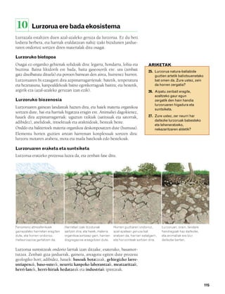 832926 _ 0100-0123.qxd    21/2/08   13:24   Página 115




        10        Lurzorua ere bada ekosistema
        Lurrazala estaltzen duen azal-azaleko geruza da lurzorua. Ez du beti
        lodiera berbera, eta harriak eraldatzean nahiz izaki bizidunen jardue-
        raren ondorioz sortzen diren materialak ditu osagai.

        Lurzoruko biotopoa
        Osagai ez-organiko gehienak solidoak dira: legarra, hondarra, lohia eta                     ARIKETAK
        buztina. Baina likidorik ere bada, baita gaseosorik ere: ura (zenbait                        25. Lurzorua natura-baliabide
        gatz disolbatuta dituela) eta poroen barnean den airea, hurrenez hurren.                         guztien artetik baliotsuenetako
        Lurzoruaren bi ezaugarri dira azpimarragarrienak: batetik, tenperatura                           bat omen da. Zure ustez, zein
        eta hezetasuna, kanpoaldekoak baino egonkorragoak baitira; eta bestetik,                         da horren zergatia?
        argirik eza (azal-azaleko geruzan izan ezik).                                                26. Aipatu zenbait eragile,
                                                                                                         azaltzeko gaur egun
        Lurzoruko biozenosia                                                                             zergatik den hain handia
                                                                                                         lurzoruaren higadura eta
        Lurzoruaren gainean landareak hazten dira, eta haiek materia organikoa                           suntsiketa.
        sortzen dute, bai eta harriak higatzea eragin ere. Animaliei dagokienez,
        hauek dira azpimarragarriak: ugaztun txikiak (satitsuak eta satorrak,                        27. Zure ustez, zer neurri har
                                                                                                         daitezke lurzoruak babesteko
        adibidez), anelidoak, intsektuak eta araknidoak, besteak beste.
                                                                                                         eta leheneratzeko,
        Onddo eta bakterioek materia organikoa deskonposatzen dute (humusa).                             nekazaritzaren aldetik?
        Elementu horien guztien artean harreman konplexuak sortzen dira:
        lurzoru motaren arabera, mota eta maila batekoak edo bestekoak.

        Lurzoruaren eraketa eta suntsiketa
        Lurzorua eratzeko prozesua luzea da, eta zenbait fase ditu.




        Fenomeno atmosferikoek           Harrietan izaki bizidunak          Horren guztiaren ondorioz,        Lurzoruan, orain, landare
        gainazaleko harrietan eragiten   sartzen dira, eta haiek, materia   azal-azalean geruza bat           handiagoak haz daitezke,
        dute, eta horren ondorioz,       organikoa sortzeaz gain, harrien   eratzen da, harrien estalgarri,   eta animaliak ere bizi
        meteorizazioa gertatzen da.      disgregazioa areagotzen dute.      eta horizonteak sortzen dira.     daitezke bertan.


        Lurzorua suntsitzeak ondorio larriak izan ditzake; esaterako, basamor-
        tutzea. Zenbait giza jarduerak, gainera, areagotu egiten dute prozesu
        geologiko hori; adibidez, hauek: basoak botatzeak, gehiegizko larre-
        ustiapenak, baso-suteek, neurriz kanpoko laborantzak, meatzaritzak,
        herri-lanek, herri-hiriak hedatzeak eta industriak ipintzeak.


                                                                                                                                           115
 