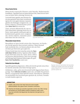 832926 _ 0124-0141.qxd   21/2/08   13:16   Página 129




        Itsas haize kirria
        Klima beroko itsasertzeko lekuetan –esate baterako, Mediterraneoko
        kostaldean–, Eguzkiak lurra eta itsasoa berotzen ditu, baina lurzoru harri-
        tsua ura baino askoz azkarrago berotzen da.
        Lurzoruak haren gaineko airea berotzen du,
        eta airea goranzko haize-laster termikoetan
        igotzen da. Gora egiten duenean, itsasoaren
        gaineko aire freskoagoa «xurgatzen du», eta
        horren ondorioz, kontinenterantz jotzen
        duen haize kirri bat sortzen da.
        Gauez, prozesua alderantzizko da; izan ere,
        lurra itsasoa baino azkarrago hozten da, eta
        beraz, uraren gaineko aireak gora egin eta
        kontinentearen gaineko airea «xurgatzen
        du»; horren ondorioz, itsasorantz jotzen
        duen haize kirri bat sortzen da.                Eguneko haize kirria.               Gaueko haize kirria.


        Haraneko haize kirria
        Barrualdean ere haize kirriak sortzen dira –batzuetan, oso biziak–,
        aire beroak igotzeko duen joeraren ondorioz. Ibaien haranak
        hodi modukoak dira, eta haietan pilatzen den aire bero-
        ak ibaien goi-ibarrerantz gora egiten du.
        Prozesu horrek haize kirri mota bat sortzen du, hara-
        neko haize kirria izenekoa. Egunean zehar, harane-
        ko goi-ibarrerantz jotzen du. Gauez, berriz, ohikoa
        da prozesua alderantzikatzea: haize kirri gozoago
        eta freskoago batek haranean behera egiten du; gorri
        haize kirri katabatikoa esaten zaio.

        Inbertsio termikoak
                                                                                      Egunez, haize kirri bat ibiltzen da haranetan,
        Eguraldi eguzkitsua dagoenean, ohikoa da lurretik gertuko airea ehun-         haietan gora egiteko joera duen aire beroak
        ka metroko altuerako airea baino beroago egotea.                              sortua. Haize kirri hori haranaren hegaletan
        Zenbaitetan, ordea, goiko airea lurzorutik hurbil dagoena baino beroa-        gora ere igotzen da.
        go dago. Horri inbertsio termikoa esaten zaio, eta halako bat gertatzen
        denean, ez da goranzko haize-lasterrik sortzen. Hori dela-eta, industrien
        eta automobilen kea lurzorutik gertu geratzen da, eta beraz, kutsadu-
        ra-maila handitu egiten da.


          ARIKETAK
          7. Azaldu nola sortzen den itsas haize kirria eta zergatik
             alderantzikatzen den gauez haren zirkulazio-noranzkoa.
          8. Inbertsio termikoak goi-presioko egoeretan sortzen dira. Noiz izango
             da handiena hiri handi bateko airearen kutsadura-maila, haren
             inguruan antizikloi bat dagoenean ala depresio bat igarotzen ari
             denean?




                                                                                                                                 129
 