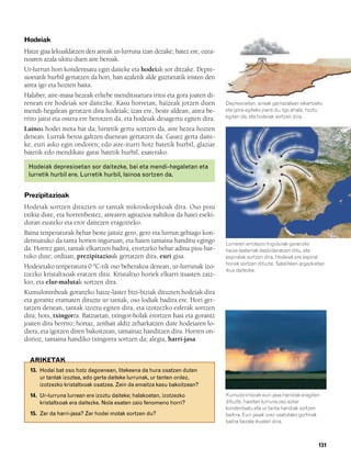832926 _ 0124-0141.qxd   21/2/08   13:16   Página 131




        Hodeiak
        Haize gisa lekualdatzen den aireak ur-lurruna izan dezake; batez ere, ozea-
        noaren azala ukitu duen aire beroak.
        Ur-lurrun hori kondentsatu egin daiteke eta hodeiak sor ditzake. Depre-
        sioetatik hurbil gertatzen da hori, han azaletik alde guztietatik iristen den
        airea igo eta hozten baita.
        Halaber, aire-masa hezeak erliebe menditsuetara iritsi eta gora joaten di-
        renean ere hodeiak sor daitezke. Kasu horretan, haizeak jotzen duen             Depresioetan, aireak gainazalean elkartzeko
        mendi-hegalean geratzen dira hodeiak; izan ere, beste aldean, airea be-         eta gora egiteko joera du. Igo ahala, hoztu
        rriro jaitsi eta ostera ere berotzen da, eta hodeiak desagertu egiten dira.     egiten da, eta hodeiak sortzen dira.

        Lainoa hodei mota bat da; lurretik gertu sortzen da, aire hezea hozten
        denean. Lurrak beroa galtzen duenean gertatzen da. Gauez gerta daite-
        ke, euri asko egin ondoren; edo aire-iturri hotz batetik hurbil, glaziar
        batetik edo mendikate garai batetik hurbil, esaterako.

          Hodeiak depresioetan sor daitezke, bai eta mendi-hegaletan eta
                                                                                                           B
          lurretik hurbil ere. Lurretik hurbil, lainoa sortzen da.


        Prezipitazioak
        Hodeiak sortzen dituzten ur tantak mikroskopikoak dira. Oso pisu
        txikia dute, eta horrenbestez, airearen agitazioa nahikoa da haiei eseki-
        duran eusteko eta eror daitezen eragozteko.
        Baina tenperaturak behar beste jaitsiz gero, gero eta lurrun gehiago kon-
        dentsatuko da tanta horien inguruan, eta haien tamaina handitu egingo           Lurraren errotazio-higidurak goranzko
        da. Horrez gain, tantak elkartzen badira, erortzeko behar adina pisu har-       haize-lasterrak desbideratzen ditu, eta
        tuko dute; orduan, prezipitazioak gertatzen dira, euri gisa.                    espiralak sortzen dira. Hodeiek ere espiral
                                                                                        horiek sortzen dituzte. Sateliteen argazkietan
        Hodeietako tenperatura 0 ºC-tik oso beherakoa denean, ur-lurrunak izo-
                                                                                        ikus daitezke.
        tzezko kristaltxoak eratzen ditu. Kristaltxo horiek elkarri itsasten zaiz-
        kio, eta elur-malutak sortzen dira.
        Kumuloninboak goranzko haize-laster bizi-biziak dituzten hodeiak dira
        eta gorantz eramaten dituzte ur tantak, oso lodiak badira ere. Hori ger-
        tatzen denean, tantak izoztu egiten dira, eta izotzezko esferak sortzen
        dira; hots, txingorra. Batzuetan, txingor-bolak erortzen hasi eta gorantz
        joaten dira berriro; hortaz, zenbait aldiz zeharkatzen dute hodeiaren lo-
        diera, eta igotzen diren bakoitzean, tamainaz handitzen dira. Horren on-
        dorioz, tamaina handiko txingorra sortzen da; alegia, harri-jasa.


          ARIKETAK
          13. Hodei bat oso hotz dagoenean, litekeena da hura osatzen duten
              ur tantak izoztea, edo gerta daiteke lurrunak, ur tanten ordez,
              izotzezko kristaltxoak osatzea. Zein da emaitza kasu bakoitzean?
          14. Ur-lurruna lurrean ere izoztu daiteke; halakoetan, izotzezko              Kumuloninboek euri-jasa handiak eragiten
              kristaltxoak era daitezke. Nola esaten zaio fenomeno horri?               dituzte, haietan lurruna oso azkar
                                                                                        kondentsatu eta ur tanta handiak sortzen
          15. Zer da harri-jasa? Zer hodei motak sortzen du?                            baitira. Euri-jasak urez osatutako gortinak
                                                                                        balira bezala ikusten dira.



                                                                                                                                   131
 