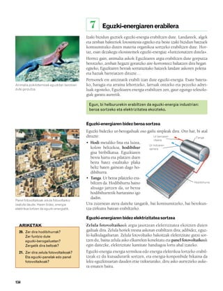 832926 _ 0124-0141.qxd     21/2/08     13:16    Página 134




                                                             7      Eguzki-energiaren erabilera
                                                         Izaki bizidun guztiek eguzki-energia erabiltzen dute. Landareek, algek
                                                         eta zenbait bakteriok fotosintesia egiteko eta beste izaki bizidun batzuek
                                                         kontsumituko duten materia organikoa sortzeko erabiltzen dute. Hor-
                                                         taz, esan dezakegu ekosistemek eguzki-energiaz «funtzionatzen dutela».
                                                         Horrez gain, animalia askok Eguzkiaren argia erabiltzen dute gorputza
                                                         berotzeko, zenbait hegazti goranzko aire-korronteez baliatzen dira hegan
                                                         egiteko, Eguzkiaren beroak sorrarazitako haizeek landare askoren polena
                                                         eta haziak barreiatzen dituzte…
                                                         Pertsonek ere antzinatik erabili izan dute eguzki-energia. Esate batera-
        Animalia poikilotermoek eguzkitan berotzen       ko, haragia eta arraina lehortzeko, larruak ontzeko eta pezozko adrei-
        dute gorputza.                                   luak egosteko, Eguzkiaren energia erabiltzen zen, gaur egungo teknolo-
                                                         giak garatu aurretik.

                                                             Egun, bi helbururekin erabiltzen da eguzki-energia industrian:
                                                             beroa sortzeko eta elektrizitatea ekoizteko.


                                                         Eguzki-energiaren bidez beroa sortzea
                                                         Eguzki bidezko ur-berogailuak oso gailu sinpleak dira. Oro har, bi atal
                                                         dituzte:                              Ur beroaren              Tanga
                                                                                                  irteera
                                                         • Hodi metaliko fina eta luzea,
                                                                                             Ur hotzaren
                                                            kolore beltzekoa, hodibihur      sarrera
                                                            gisa biribilkatua. Eguzkiaren
                                                            beroa hartu eta pilatzen duen
                                                            beira batez estalitako plaka
                                                            beltz baten gainean dago ho-
                                                            dibihurra.
                                                         • Tanga. Ur beroa pilatzeko era-
                                                            biltzen da. Hodibihurra baino                             Hodibihurra

                                                            altuago jartzen da, ur beroa
                                                            hodibihurretik hartaraino igo
                                                            dadin.
        Panel fotovoltaikoak zelula fotovoltaikoz
        osatuta daude. Haien bidez, energia              Ura zuzenean atera daiteke tangatik, bai kontsumitzeko, bai berokun-
        elektrikoa lortzen da eguzki-energiatik.         tza-zirkuitu batean erabiltzeko.

                                                         Eguzki-energiaren bidez elektrizitatea sortzea
          ARIKETAK                                       Zelula fotovoltaikoak argia jasotzean elektrizitatea ekoizten duten
          20. Zer dira hodibihurrak?                     gailuak dira. Zelula horiek tresna askotan erabiltzen dira; adibidez, eguz-
              Zer funtzio dute                           ki-kalkulagailuetan. Zelula fotovoltaiko bakoitzak elektrizitate gutxi sor-
              eguzki-berogailuetan?                      tzen du, baina zelula asko elkarrekin konektatu eta panel fotovoltaikoak
              Zergatik dira beltzak?                     egin daitezke, elektrizitate kantitate handiagoa lortu ahal izateko.
          21. Zer dira zelula fotovoltaikoak?            Eguzki-energia energia termikoa edo energia elektrikoa lortzeko erabil-
              Eta eguzki-panelak edo panel               tzeak ez du kutsadurarik sortzen, eta energia-konponbide bikaina da
              fotovoltaikoak?                            leku eguzkitsuetan dauden etxe txikietarako, diru asko aurrezteko auke-
                                                         ra ematen baitu.


        134
 