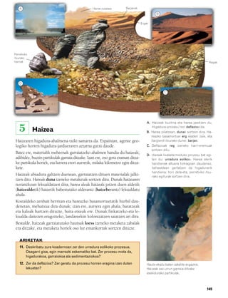 832926 _ 0142-0163.qxd   19/4/08   11:54   Página 149




          A                                             Harea-zutabea       Barjanak
                                                                                                  B

                                                                                        Ergak




       Perretxiko
       itxurako
       harriak                                                                                                                       Regak




          D

                                                                                                        C




                                                                                            A. Haizeak buztina eta harea jasotzen du.

          5         Haizea
                                                                                               Higadura-prozesu hori deflazioa da.
                                                                                            B. Harea pilatzean, dunak sortzen dira. Ha-
                                                                                               reazko basamortuei erg esaten zaie, eta
        Haizearen higadura-ahalmena txiki samarra da. Espainian, agente geo-                   ilargierdi itxurako dunei, barjan.
        logiko horren higadura-jardueraren aztarna gutxi daude.                             C. Deflazioak reg izeneko harri-eremuak
                                                                                               sortzen ditu.
        Batez ere, materialik meheenak garraiatzeko ahalmen handia du haizeak;
                                                                                            D. Hareak lixaketa moduko prozesu bat egi-
        adibidez, buztin partikulak garraia ditzake. Izan ere, oso gora eraman ditza-          ten du: urradura eolikoa. Harea alerik
        ke partikula horiek, eta lurrera erori aurretik, milaka kilometro egin ditza-          handienak altuera txikiagoan daudenez,
        kete.                                                                                  behealdean gertatzen da higadurarik
                                                                                               handiena; hori dela-eta, perretxiko itxu-
        Haizeak abiadura galtzen duenean, garraiatzen dituen materialak jalki-                 rako egiturak sortzen dira.
        tzen ditu. Hareak duna izeneko metaketak sortzen ditu. Dunak haizearen
        noranzkoan lekualdatzen dira, harea aleak haizeak jotzen duen aldetik
        (haizealdetik) haizetik babestutako alderantz (haizeberantz) lekualdatu
        ahala.
        Kostaldeko zenbait herritan eta hareazko basamortuetatik hurbil dau-
        denetan, mehatxua dira dunak; izan ere, aurrera egin ahala, baratzeak
        eta kaleak hartzen dituzte, baita etxeak ere. Dunak finkatzeko eta le-
        kualda daitezen eragozteko, landareekin kolonizatzen saiatzen ari dira.
        Bestalde, haizeak garraiatutako hautsak loess izeneko metaketa zabalak
        era ditzake, eta metaketa horiek oso lur emankorrak sortzen dituzte.

           ARIKETAK
           11. Deskribatu zure koadernoan zer den urradura eolikoko prozesua.
               Osagarri gisa, egin marrazki eskematiko bat. Zer prozesu mota da,
               higadurakoa, garraiokoa ala sedimentaziokoa?
           12. Zer da deflazioa? Zer geratu da prozesu horren eragina izan duten            Hauts-ekaitz baten satelite-argazkia.
               lekuetan?                                                                    Haizeak oso urrun garraia ditzake
                                                                                            esekidurako partikulak.



                                                                                                                                    149
 