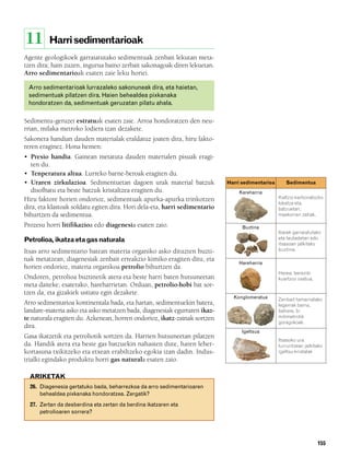 832926 _ 0142-0163.qxd   21/2/08   13:26   Página 155




        11       Harri sedimentarioak
        Agente geologikoek garraiatutako sedimentuak zenbait lekutan meta-
        tzen dira; hain zuzen, ingurua baino zerbait sakonagoak diren lekuetan.
        Arro sedimentarioak esaten zaie leku horiei.

          Arro sedimentarioak lurrazaleko sakonuneak dira, eta haietan,
          sedimentuak pilatzen dira. Haien behealdea pixkanaka
          hondoratzen da, sedimentuak geruzatan pilatu ahala.

        Sedimentu-geruzei estratuak esaten zaie. Arroa hondoratzen den neu-
        rrian, milaka metroko lodiera izan dezakete.
        Sakonera handian dauden materialak eraldatuz joaten dira, hiru fakto-
        reren eraginez. Hona hemen:
        • Presio handia. Gainean metatuta dauden materialen pisuak eragi-
           ten du.
        • Tenperatura altua. Lurreko barne-beroak eragiten du.
        • Uraren zirkulazioa. Sedimentuetan dagoen urak material batzuk             Harri sedimentarioa      Sedimentua
           disolbatu eta beste batzuk kristaltzea eragiten du.                          Kareharria
        Hiru faktore horien ondorioz, sedimentuak apurka-apurka trinkotzen                                Kaltzio karbonatozko
                                                                                                          lokatza eta,
        dira, eta klastoak soldatu egiten dira. Hori dela-eta, harri sedimentario                         batzuetan,
        bihurtzen da sedimentua.                                                                          maskorren zatiak.

        Prozesu horri litifikazioa edo diagenesia esaten zaio.                            Buztina
                                                                                                          Ibaiek garraiatutako
        Petrolioa, ikatza eta gas naturala                                                                eta lautadetan edo
                                                                                                          itsasoan jalkitako
        Itsas arro sedimentario batean materia organiko asko dituzten buzti-                              buztina.

        nak metatzean, diagenesiak zenbait erreakzio kimiko eragiten ditu, eta
                                                                                        Hareharria
        horien ondorioz, materia organikoa petrolio bihurtzen da.
                                                                                                          Harea, bereziki
        Ondoren, petrolioa buztinetik atera eta beste harri baten hutsuneetan                             kuartzoz osatua.
        meta daiteke; esaterako, hareharrietan. Orduan, petrolio-hobi bat sor-
        tzen da, eta gizakiek ustiatu egin dezakete.
                                                                                      Konglomeratua       Zenbait tamainatako
        Arro sedimentarioa kontinentala bada, eta hartan, sedimentuekin batera,                           legerrak baina,
        landare-materia asko eta asko metatzen bada, diagenesiak egurraren ikaz-                          betiere, bi
        te naturala eragiten du. Azkenean, horren ondorioz, ikatz-zainak sortzen                          milimetrotik
                                                                                                          goragokoak.
        dira.
                                                                                         Igeltsua
        Gasa ikatzetik eta petroliotik sortzen da. Harrien hutsuneetan pilatzen
                                                                                                          Itsasoko ura
        da. Handik atera eta beste gas batzuekin nahasten dute, haren leher-                              lurruntzean jalkitako
        kortasuna txikitzeko eta etxean erabiltzeko egokia izan dadin. Indus-                             igeltsu-kristalak
        trialki egindako produktu horri gas naturala esaten zaio.

          ARIKETAK
          26. Diagenesia gertatuko bada, beharrezkoa da arro sedimentarioaren
              behealdea pixkanaka hondoratzea. Zergatik?
          27. Zertan da desberdina eta zertan da berdina ikatzaren eta
              petrolioaren sorrera?




                                                                                                                             155
 