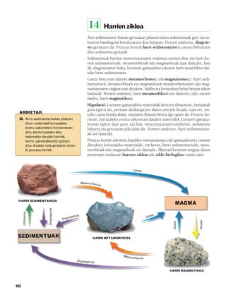 832926 _ 0164-0187.qxd       21/2/08           13:25   Página 182




                                                                    14             Harrien zikloa
                                                                    Arro sedimentario batean geruzatan pilatzen diren sedimentuak gero eta sa-
                                                                    konera handiagora hondoratzen dira lurpean. Horren ondorioz, diagene-
                                                                    sia gertatzen da. Prozesu horrek harri sedimentarioen estratu bihurtzen
                                                                    ditu sedimentu-geruzak.
                                                                    Sedimentuak harrien meteorizazioaren ondorioz sortzen dira, eta harri ho-
                                                                    riek sedimentarioak, metamorfikoak edo magmatikoak izan daitezke; hau
                                                                    da, diagenesiaren bidez, Lurraren gainazaleko edozein harri mota bihur dai-
                                                                    teke harri sedimentario.
                                                                    Gauza bera esan daiteke metamorfismoaz eta magmatismoaz: harri sedi-
                                                                    mentarioek, metamorfikoek eta magmatikoek metamorfismoaren edo mag-
                                                                    matismoaren eragina izan dezakete, baldin eta lurrazalean behar bezain sakon
                                                                    badaude. Horren ondorioz, harri metamorfikoak sor daitezke, edo, urtzen
                                                                    badira, harri magmatikoak.
                                                                    Higadurak Lurraren gainazaleko materialak kentzen dituenean, lurrazalak
                                                                    gora egiten du, portuan deskargatzen duten ontziek bezala; izan ere, on-
          ARIKETAK
                                                                    tziko zama kendu ahala, ontziaren flotazio-lerroa igo egiten da. Prozesu ho-
          28. Arro sedimentarioetan pilatzen                        rretan, lurrazaleko eremu sakonetan dauden materialek Lurraren gainaza-
              diren materialak lurrazaleko                          lerantz egiten dute gora, eta han, meteorizazioaren ondorioz, sedimentu
              eremu sakonetara hondoratzen                          bihurtu eta geruzatan pila daitezke. Horren ondorioz, harri sedimentario-
              dira, eta lurrazaleko leku                            ak sor daitezke.
              sakonetan dauden harriak,
              berriz, gainazalerantz igotzen                        Prozesu horiek sakonera handiko eremuetarantz edo gainazalerantz eraman
              dira. Azaldu nola gertatzen diren                     ditzakete lurrazaleko materialak, eta beraz, harri sedimentarioak, meta-
              bi prozesu horiek.                                    morfikoak edo magmatikoak sor daitezke. Material horietan eragina duten
                                                                    prozesuen multzoari harrien zikloa edo ziklo litologikoa esaten zaio.


                                                                                                Urtzea



                                                                Metamorfism
                                                                              oa




          HARRI SEDIMENTARIOA
                                                                                                                            MAGMA
                                Disgregazioa
              Litifikazioa




                                                        azioa                                                 ea
                                                    greg                                                  Urtz
                                                 Dis
                                                                                                                                         Hoztea
                                                                                                                         Urtzea




         SEDIMENTUAK                                                   HARRI METAMORFIKOA




                                                                                          Meta
                                                                                              morfismoa
                                                           Disgregazio
                                                                      a

                                                                                                                      HARRI MAGMATIKOA




        182
 