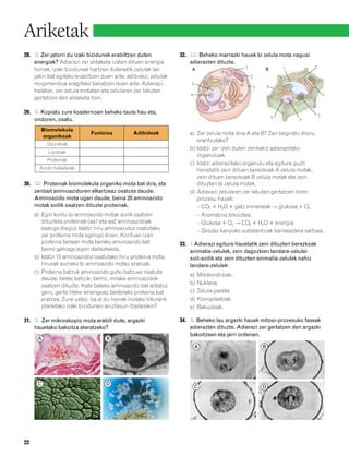 832926 _ 0006-0025.qxd    19/4/08   12:39   Página 22




        Ariketak
        28. l Zer jatorri du izaki bizidunek erabiltzen duten
             l                                                           32. l l Beheko marrazki hauek bi zelula mota nagusi
                                                                              l
            energiak? Adierazi zer aldaketa izaten dituen energia            adierazten dituzte.
                                                                                                    1                       1       2
            horrek, izaki bizidunek hartzen dutenetik zelulak lan            A                                  B
            jakin bat egiteko erabiltzen duen arte; adibidez, zelulak                                   2
            mugimendua eragiteko baliatzen duen arte. Adierazi,               5
                                                                                                            3       6
            halaber, zer zelula motatan eta zelularen zer lekutan
                                                                             4                                                              3
            gertatzen den aldaketa hori.

        29. l Kopiatu zure koadernoan beheko taula hau eta,
            l
                                                                                                                        5               7
            ondoren, osatu.                                                                                                     4

               Biomolekula
                                     Funtzioa           Adibideak            a) Zer zelula mota dira A eta B? Zeri begiratu diozu,
               organikoak
                                                                                erantzuteko?
                  Gluzidoak
                                                                             b) Idatzi zer izen duten zenbakiz adierazitako
                   Lipidoak
                                                                                organuluek.
                  Proteinak
                                                                             c) Idatzi adierazitako organulu eta egitura guzti
               Azido nukleikoak                                                 horietatik zein dituen berezkoak A zelula motak,
                                                                                zein dituen berezkoak B zelula motak eta zein
        30. l l Proteinak biomolekula organiko mota bat dira, eta
             l                                                                  dituzten bi zelula motek.
            zenbait aminoazidoren elkartzeaz osatuta daude.                  d) Adierazi zelularen zer lekutan gertatzen diren
            Aminoazido mota ugari daude, baina 20 aminoazido                    prozesu hauek:
            motak soilik osatzen dituzte proteinak.                             – CO2 ϩ H2O ϩ gatz mineralak → glukosa ϩ O2
             a) Egin kontu bi aminoazido motak soilik osatzen                   – Kromatina bikoiztea.
                dituztela proteinak (aa1 eta aa2 aminoazidoak                   – Glukosa ϩ O2 → CO2 ϩ H2O ϩ energia
                esango diegu). Idatzi hiru aminoazidoz osatutako                – Zelulaz kanpoko substantziak barnealdera sartzea.
                zer proteina mota egongo diren. Kontuan izan
                proteina berean mota bereko aminoazido bat               33. l Adierazi egitura hauetatik zein dituzten berezkoak
                baino gehiago egon daitezkeela.                              animalia-zelulek, zein dagozkien landare-zelulei
             b) Idatzi 15 aminoazidoz osatutako hiru proteina mota,          soil-soilik eta zein dituzten animalia-zelulek nahiz
                hirurak aurreko bi aminoazido motez eratuak.                 landare-zelulek:
             c) Proteina batzuk aminoazido gutxi batzuez osatuta
                                                                             a)   Mitokondrioak.
                daude; beste batzuk, berriz, milaka aminoazidok
                osatzen dituzte. Kate bateko aminoazido bat aldatuz          b)   Nukleoa.
                gero, gerta liteke lehengoaz bestelako proteina bat          c)   Zelula-pareta.
                eratzea. Zure ustez, ba al du horrek inolako loturarik       d)   Kloroplastoak.
                planetako izaki bizidunen aniztasun itzelarekin?             e)   Bakuoloak.

        31. l Zer mikroskopio mota erabili dute, argazki
             l                                                           34. l Beheko lau argazki hauek mitosi-prozesuko faseak
                                                                              l
            hauetako bakoitza ateratzeko?                                    adierazten dituzte. Adierazi zer gertatzen den argazki
                                                                             bakoitzean eta jarri ordenan.
              A                             B
                                                                                 A                              B




              C                             D
                                                                                  C                             D




        22
 