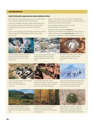 Natur 2º dbh (liburua)