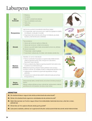 832926 _ 0006-0025.qxd                21/2/08   13:11     Página 24




        Laburpena
                                                • Elikadura.
                                                • Arnasketa.
                                 Bizi-          • Hondakin-substantziak askatzea.
                               funtzioak        • Ingurune-aldaketei erantzutea.
                                                • Hazkuntza.
                                                • Ugalketa.


                                                Izaki bizidun guztiok bi biomolekula mota ditugu osagai:
                                                • Ez-organikoak. Izaki bizidunok ez ezik, materia bizigabeak ere baditu
                              Konposizioa         horrelakoak: ura eta gatz mineralak.
                                                • Organikoak. Izaki bizidunok soilik ditugu horrelakoak: gluzidoak,
                                                  lipidoak, proteinak eta azido nukleikoak.


                                                Teoria zelularra:
         BIZIA IRAUNARAZTEA




                                                • Zelula izaki bizidunen egitura-unitatea da.
                                                • Zelula izaki bizidunen unitate funtzionala da.
                                Zelulak         • Zelula oro aurretik baden beste zelula batetik sortzen da, zatiketaz.
                                                Bi zelula mota daude:
                                                • Prokariotoak: nukleorik gabeak.
                                                • Eukariotoak: nukleodunak. Animalia- nahiz landare-zelulak dira.


                                                Zeluletan, bi nutrizio mota daude:
                                                • Nutrizio autotrofoa. Konposatu ez-organiko bakunetatik berezko
                                                  materia organikoa sortzen dute, energia-iturri bat erabiliz:
                                                  Eguzkiaren argia, eskuarki.
                                                • Nutrizio heterotrofoa. Materia organikoa kanpotik hartu behar dute,
                               Nutrizio           ez baitira hura sintetizatzeko gai.
                               zelularra        Metabolismoa deritzo zelularen baitan gertatzen diren prozesu
                                                kimikoen multzoari. Bi motatako erreakzio metabolikoak gertatzen dira:
                                                • Katabolismoa: substantzia organikoak degradatzea, energia
                                                  askatzeko.
                                                • Anabolismoa: molekula bakunetatik molekula konplexuak sortzea.
                                                  Energia behar du.


                                                Zelula ama bat zatituz zenbait zelula ume sortzen direneko prozesuari
                                Zelula-         deritzo.
                               ugalketa         Mitosia nukleoa zatitzeko prozesu mota bat da: zelula amaren material
                                                genetikoa erdiz erdi banatzen da zelula umeen artean.




                   ARIKETAK
                    44. Zer desberdintasun nagusi dute zelula prokariotoek eta eukariotoek?
                    45. Zertan dira desberdinak organismo zelulabakarrak eta zelulaniztunak?
                    46. Idatzi laburpenean zer funtzio nagusi dituen biomolekuletako bakoitzak eta eman, ahal den orotan,
                        adibide bat.
                    47. Oinarrizko zer hiru egitura dituzte zelula guzti-guztiek?
                    48. Laburpena osatzeko, adierazi zer organismok dituzten zelula autotrofoak eta zeinek zelula heterotrofoak.




        24
 