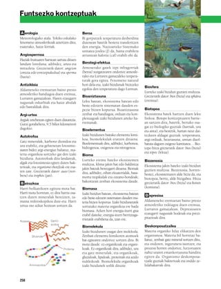 Natur 2º dbh (liburua)