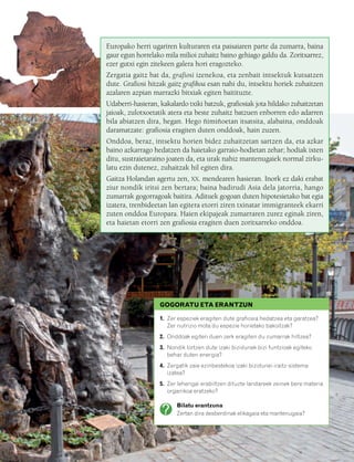 832926 _ 0026-0045.qxd   21/2/08   13:20    Página 27




                                           Europako herri ugariren kulturaren eta paisaiaren parte da zumarra, baina
                                           gaur egun horrelako mila milioi zuhaitz baino gehiago galdu da. Zoritxarrez,
                                           ezer gutxi egin zitekeen galera hori eragozteko.
                                           Zergatia gaitz bat da, grafiosi izenekoa, eta zenbait intsektuk kutsatzen
                                           dute. Grafiosi hitzak gaitz grafikoa esan nahi du, intsektu horiek zuhaitzen
                                           azalaren azpian marrazki bitxiak egiten baitituzte.
                                           Udaberri-hasieran, kakalardo txiki batzuk, grafiosiak jota hildako zuhaitzetan
                                           jaioak, zulotxoetatik atera eta beste zuhaitz batzuen enborren edo adarren
                                           bila abiatzen dira, hegan. Hego ñimiñoetan itsatsita, alabaina, onddoak
                                           daramatzate: grafiosia eragiten duten onddoak, hain zuzen.
                                           Onddoa, beraz, intsektu horien bidez zuhaitzetan sartzen da, eta azkar
                                           baino azkarrago hedatzen da haietako garraio-hodietan zehar; hodiak ixten
                                           ditu, sustraietaraino joaten da, eta urak nahiz mantenugaiek normal zirku-
                                           latu ezin dutenez, zuhaitzak hil egiten dira.
                                           Gaitza Holandan agertu zen, XX. mendearen hasieran. Inork ez daki erabat
                                           ziur nondik iritsi zen bertara; baina badirudi Asia dela jatorria, hango
                                           zumarrak gogorragoak baitira. Adituek gogoan duten hipotesietako bat egia
                                           izatera, trenbideetan lan egitera etorri ziren txinatar immigranteek ekarri
                                           zuten onddoa Europara. Haien ekipajeak zumarraren zurez eginak ziren,
                                           eta haietan etorri zen grafiosia eragiten duen zoritxarreko onddoa.




                                                              GOGORATU ETA ERANTZUN

                                                              1. Zer espeziek eragiten dute grafiosia hedatzea eta garatzea?
                                                                 Zer nutrizio mota du espezie horietako bakoitzak?
                                                              2. Onddoak egiten duen zerk eragiten du zumarrak hiltzea?
                                                              3. Nondik lortzen dute izaki bizidunek bizi funtzioak egiteko
                                                                 behar duten energia?
                                                              4. Zergatik zaie ezinbestekoa izaki bizidunei iraitz-sistema
                                                                 izatea?
                                                              5. Zer lehengai erabiltzen dituzte landareek zeinek bere materia
                                                                 organikoa eratzeko?

                                                                    Bilatu erantzuna
                                                                    Zertan dira desberdinak elikagaia eta mantenugaia?
 