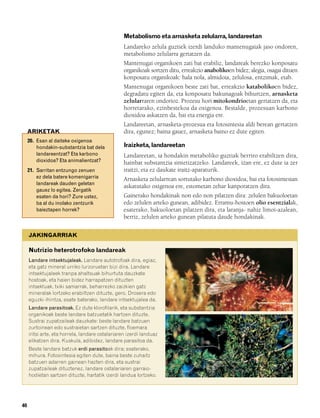 832926 _ 0026-0045.qxd      21/2/08   13:20    Página 40




                                                           Metabolismo eta arnasketa zelularra, landareetan
                                                           Landareko zelula guztiek izerdi landuko mantenugaiak jaso ondoren,
                                                           metabolismo zelularra gertatzen da.
                                                           Mantenugai organikoen zati bat erabiliz, landareak berezko konposatu
                                                           organikoak sortzen ditu, erreakzio anabolikoen bidez; alegia, osagai dituen
                                                           konposatu organikoak: hala nola, almidoia, zelulosa, entzimak, etab.
                                                           Mantenugai organikoen beste zati bat, erreakzio katabolikoen bidez,
                                                           degradatu egiten da, eta konposatu bakunagoak bihurtzen, arnasketa
                                                           zelularraren ondorioz. Prozesu hori mitokondrioetan gertatzen da, eta
                                                           horretarako, ezinbestekoa da oxigenoa. Bestalde, prozesuan karbono
                                                           dioxidoa askatzen da, bai eta energia ere.
                                                           Landareetan, arnasketa-prozesua eta fotosintesia aldi berean gertatzen
             ARIKETAK                                      dira, egunez; baina gauez, arnasketa baino ez dute egiten.
             20. Esan al daiteke oxigenoa
                 hondakin-substantzia bat dela             Iraizketa, landareetan
                 landareentzat? Eta karbono                Landareetan, ia hondakin metaboliko guztiak berriro erabiltzen dira,
                 dioxidoa? Eta animalientzat?              hainbat substantzia sintetizatzeko. Landareek, izan ere, ez dute ia zer
             21. Sarritan entzungo zenuen                  iraitzi, eta ez daukate iraitz-aparaturik.
                 ez dela batere komenigarria               Arnasketa zelularrean sortutako karbono dioxidoa, bai eta fotosintesian
                 landareak dauden geletan
                                                           askatutako oxigenoa ere, estometan zehar kanporatzen dira.
                 gauez lo egitea. Zergatik
                 esaten da hori? Zure ustez,               Gainerako hondakinak non edo non pilatzen dira: zelulen bakuoloetan
                 ba al du inolako zentzurik                edo zelulen arteko gunean, adibidez. Erramu-hostoen olio esentzialak,
                 baieztapen horrek?                        esaterako, bakuoloetan pilatzen dira, eta laranja- nahiz limoi-azalean,
                                                           berriz, zelulen arteko gunean pilatuta daude hondakinak.

             JAKINGARRIAK

             Nutrizio heterotrofoko landareak
             Landare intsektujaleak. Landare autotrofoak dira, egiaz,
             eta gatz mineral urriko lurzoruetan bizi dira. Landare
             intsektujaleek tranpa ahaltsuak bihurtuta dauzkate
             hostoak, eta haien bidez harrapatzen dituzten
             intsektuak, txiki samarrak, beharrezko zaizkien gatz
             mineralak lortzeko erabiltzen dituzte, gero. Drosera edo
             eguzki-ihintza, esate baterako, landare intsektujalea da.
             Landare parasitoak. Ez dute klorofilarik, eta substantzia
             organikoak beste landare batzuetatik hartzen dituzte.
             Sustrai zupatzaileak dauzkate: beste landare batzuen
             zurtoinean edo sustraietan sartzen dituzte, floemara
             iritsi arte, eta horrela, landare ostalariaren izerdi landuaz
             elikatzen dira. Kuskula, adibidez, landare parasitoa da.
             Beste landare batzuk erdi parasitoak dira; esaterako,
             mihura. Fotosintesia egiten dute, baina beste zuhaitz
             batzuen adarren gainean hazten dira, eta sustrai
             zupatzaileak dituztenez, landare ostalariaren garraio-
             hodietan sartzen dituzte, hartatik izerdi landua lortzeko.




        40
 
