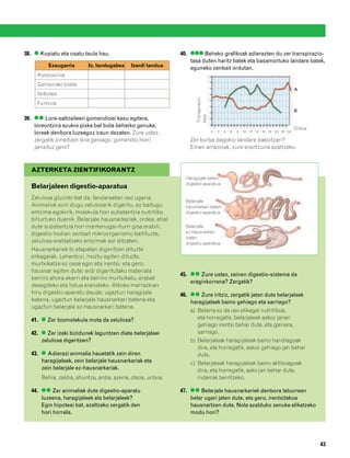 832926 _ 0026-0045.qxd     21/2/08   13:20   Página 43




        38. ● Kopiatu eta osatu taula hau.                             40. ●●● Beheko grafikoak adierazten du zer transpirazio-
                                                                           tasa duten haritz batek eta basamortuko landare batek,
                  Ezaugarria         Iz. landugabea   Izerdi landua
                                                                           eguneko zenbait ordutan.
             Konposizioa
             Garraiorako bidea
                                                                                                                                            A
             Ibilbidea




                                                                              Transpirazio-
             Funtzioa
                                                                                                                                            B
        39. ●● Lore-saltzaileen gomendioei kasu egitera,




                                                                              tasa
            loreontzira azukre pixka bat bota beharko genuke,                                                                               Ordua
            loreek denbora luzeagoz iraun dezaten. Zure ustez,                                0   2   4   6   8   10 12 14 16 18 20 22 24

            zergatik zimeltzen dira geroago, gomendio horri                Zer kurba dagokio landare bakoitzari?
            jarraituz gero?                                                Eman arrazoiak, zure erantzuna azaltzeko.



           AZTERKETA ZIENTIFIKORANTZ
                                                                         Haragijale baten
                                                                         digestio-aparatua
           Belarjaleen digestio-aparatua
           Zelulosa gluzido bat da, landareetan oso ugaria.
                                                                         Belarjale
           Animaliok ezin dugu zelulosarik digeritu, ez baitugu          hausnarkari baten
           entzima egokirik, molekula hori substantzia nutritibo         digestio-aparatua
           bihurtuko duenik. Belarjale hausnarkariek, ordea, ahal
           dute substantzia hori mantenugai-iturri gisa erabili,         Belarjale
           digestio-hodian zenbait mikroorganismo baitituzte,            ez-hausnarkari
                                                                         baten
           zelulosa eraldatzeko entzimak sor ditzaten.                   digestio-aparatua
           Hausnarkariek bi etapatan digeritzen dituzte
           elikagaiak. Lehenbizi, moztu egiten dituzte,
           murtxikatze ez osoa egin eta irentsi; eta gero,
           hausnar egiten dute: erdi digeritutako materiala
                                                                       45. ●● Zure ustez, zeinen digestio-sistema da
           berriro ahora ekarri eta berriro murtxikatu, erabat
                                                                           eraginkorrena? Zergatik?
           desegiteko eta listua eransteko. Alboko marrazkian
           hiru digestio-aparatu daude: ugaztun haragijale             46. ●● Zure iritziz, zergatik jaten dute belarjaleek
           batena, ugaztun belarjale hausnarkari batena eta                haragijaleek baino gehiago eta sarriago?
           ugaztun belarjale ez-hausnarkari batena.
                                                                           a) Belarra ez da oso elikagai nutritiboa,
           41. ● Zer biomolekula mota da zelulosa?                            eta horregatik, belarjaleek askoz janari
                                                                              gehiago irentsi behar dute, eta gainera,
           42. ● Zer izaki bizidunek laguntzen diete belarjaleei              sarriago.
               zelulosa digeritzen?                                        b) Belarjaleak haragijaleak baino handiagoak
                                                                              dira, eta horregatik, askoz gehiago jan behar
           43. ● Adierazi animalia hauetatik zein diren                       dute.
               haragijaleak, zein belarjale hausnarkariak eta              c) Belarjaleak haragijaleak baino aktiboagoak
               zein belarjale ez-hausnarkariak.                               dira, eta horregatik, asko jan behar dute,
               Behia, zaldia, ahuntza, ardia, azeria, otsoa, untxia.          indarrak berritzeko.

           44. ●● Zer animaliak dute digestio-aparatu                  47. ●● Belarjale hausnarkariek denbora laburrean
               luzeena, haragijaleek ala belarjaleek?                      belar ugari jaten dute, eta gero, irentsitakoa
               Egin hipotesi bat, azaltzeko zergatik den                   hausnartzen dute. Nola azalduko zenuke elikatzeko
               hori horrela.                                               modu hori?




                                                                                                                                                    43
 