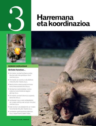832926 _ 0046-0063.qxd   21/2/08   13:12    Página 46




         3                                              Harremana
                                                        eta koordinazioa




          NONDIK NORAKOAK

          Unitate honetan…
          • Animalien zenbait portaera zertan
            dautzan eta nola gertatzen diren
            ulertuko duzu.
          • Animaliek zer erantzun eta efektore
            mota dituzten ikasiko duzu.
          • Nerbio-komunikazioa eta hormona-
            komunikazioa bereiziko dituzu.
          • Zenbait animalia taldetan nerbio-
            sistema nola antolatuta dagoen
            jakingo duzu.
          • Animalien zenbait lokomozio-aparatu
            bereiziko dituzu.
          • Landareek inguruneko aldaketekiko
            zer-nolako erantzunak sortzen dituzten
            ulertuko duzu.
          • Izaki bizidun zelulabakarrek zer-nolako
            harremanak dituzten ikasiko duzu.
          • Landareen geotropismoa aztertuko
            duzu, esperimentu baten bidez.


              Rhesus tximinoak, makakoak.
 