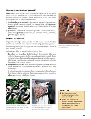 832926 _ 0046-0063.qxd     21/2/08    13:12       Página 49




        Nola erantzuten dute izaki bizidunek?
        Erantzuna deritzo izaki bizidunek estimulu batekiko erreakzio gisa egiten
        duten ekintzari. Landareetan, erantzunak motelak dira, eskuarki, eta
        gehienak hazkuntzarekin lotuta daude; animalietan, berriz, erantzunak
        azkarragoak dira. Bi erantzun mota daude:
        • Mugimenduzko erantzunak. Mugimendu bat egitea da erantzuna.
          Mugimenduak erantzun zehatzak eta azkarrak dira, eta lokomozio-
          aparatuak egiten ditu. Mugimendua sortzen duten organo efektoreak
          giharrak dira.
        • Jariatzezko erantzunak. Substantzia jakin bat sortzea da erantzuna.
          Sortze horri jariatzea esaten zaio, eta erantzun horiek, jariatzeak,
          guruinek egiten dituzte.

        Portaera eta moldaera
        Organismoek kanpo-estimuluekiko erreakzionatuz sortzen dituzten
        erantzunen multzoak izaki bizidun bakoitzaren portaera eragiten du.
                                                                                             Izerdia eta listua sortzea jariatzezko
        Landareen portaera guztiak organoren bat haztearekin lotuta daude ia                 erantzunak dira.
        beti: fruituak, zurtoina…
        Animalietan, aldiz, bi portaera mota bereizten dira:
        • Berezkoa edo senezkoa. Izaki bizidunek herentziazko faktoreen
          ondorioz duten portaera da; hots, animaliek jaiotzetik bertatik duten
          portaera, inolako ikaskuntzaz bereganatu ez dutena. Senezko portaere-
          tako bat da, esate baterako, txitatxoak arrautza-oskoletik irten bezain
          laster janari bila mokoka hastea.
        • Bereganatua edo ikasia. Izaki bizidunek ingurune-faktoreen ondorioz
          duten portaera da. Ikaskuntzaren ondorioa da. Portaera mota hori
          alda daiteke.
          Ia animalia guztiek ikas dezakete, baita ornogabeek ere; baina batzuek
          beste batzuek baino azkarrago ikasten dute, gaitasun hori animalien
          adimenarekin estu-estu lotuta baitago.




                                                                                               ARIKETAK
                                                                                               3. Zer bi erantzun mota
                                                                                                  sortzen dituzte animaliek
                                                                                                  estimuluekiko?
                                                                                               4. Zertan dira desberdinak
                                                                                                  senezko portaera eta portaera
                                                                                                  ikasia? Animalia guztiak al
        Jaio bezain laster, txitatxoak elkarren       Hegaztiek inon ikasi gabe eraikitzen        dira ikasteko gai? Zeren
        ondoan uzkurtzen dira, berez, hotzetik        dituzte habiak. Berezko portaerari          baitan dago?
        babesteko. Senez egiten dute.                 jarraitzen diote, besterik gabe.



                                                                                                                                      49
 